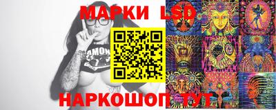крисы Новозыбков