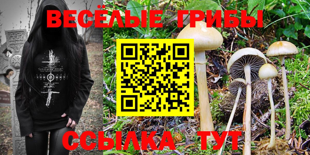 Галлюциногенные грибы Cubensis  Вход с VPN  Сланцы  Псилоцибиновые грибы Magic Shrooms 