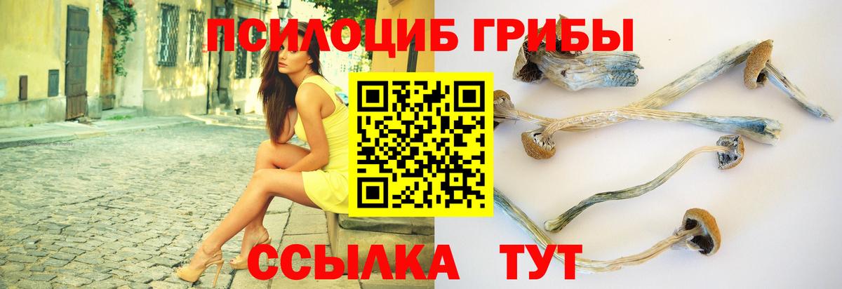 Псилоцибиновые грибы мицелий Сланцы